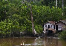 Projeto leva tratamento gratuito a doenças negligenciadas no Amazonas Projeto leva tratamento gratuito a doenças negligenciadas no Amazonas