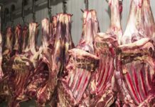 China suspende três frigoríficos brasileiros após irregularidades China suspende três frigoríficos brasileiros após irregularidades