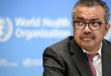 OMS descarta indícios de “surto maior” de hantavírus OMS descarta indícios de "surto maior" de hantavírus