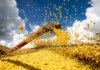 Conab: produção de grãos pode chegar a 358,6 milhões de toneladas Conab: produção de grãos pode chegar a 358,6 milhões de toneladas