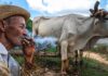 Mostra gratuita com 67 artistas ocupa Parque Glória Maria no Rio Mostra gratuita com 67 artistas ocupa Parque Glória Maria no Rio