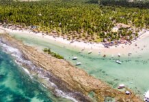 Barulho de barco e de turistas afeta comunicação de peixes, diz estudo Barulho de barco e de turistas afeta comunicação de peixes, diz estudo