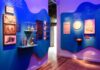 Exposição O Tempo das Plantas propõe troca cultural e desaceleração Exposição O Tempo das Plantas propõe troca cultural e desaceleração