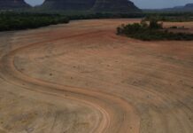 Fim da Moratória da Soja pode ampliar destruição da Amazônia Fim da Moratória da Soja pode ampliar destruição da Amazônia