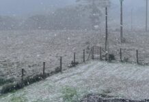 Defesa Civil reconhece situação de emergência em oito municípios do RS Defesa Civil reconhece situação de emergência em oito municípios do RS
