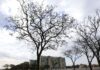 Grande parte do país tem temperaturas elevadas nesta terça-feira Grande parte do país tem temperaturas elevadas nesta terça-feira