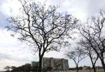 Grande parte do país tem temperaturas elevadas nesta terça-feira Grande parte do país tem temperaturas elevadas nesta terça-feira