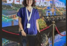 Morre veterinária atacada por cachorro no canil do Senado Federal Morre veterinária atacada por cachorro no canil do Senado Federal