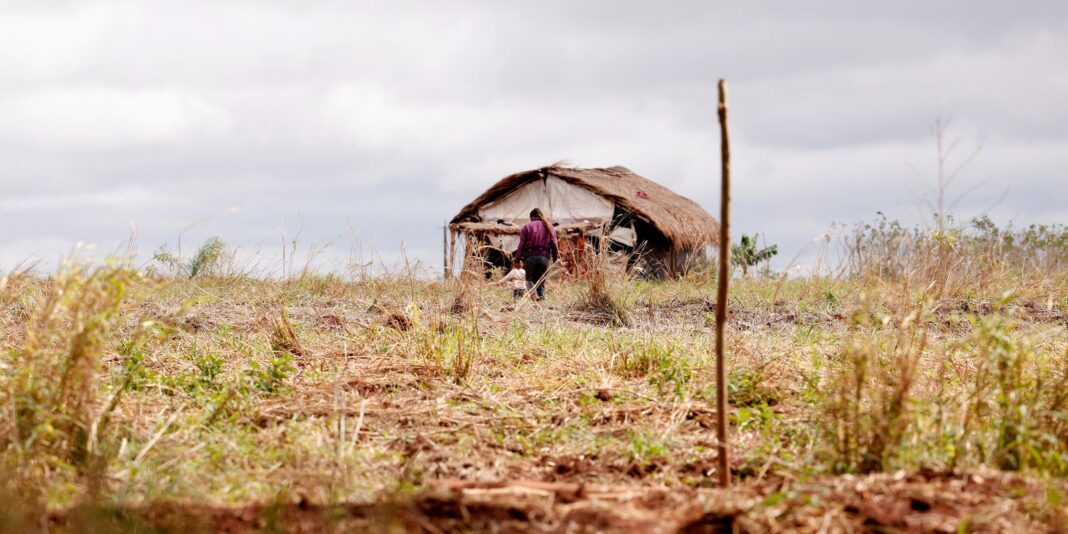 Cai número de assassinatos no campo, mas aumenta o de Cai número de assassinatos no campo, mas aumenta o de conflitos