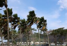 Defesa Civil alerta para ventos fortes na cidade do Rio Defesa Civil alerta para ventos fortes na cidade do Rio