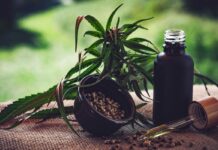 Para associações, normas ainda deixam pontos em aberto sobre cannabis Para associações, normas ainda deixam pontos em aberto sobre cannabis
