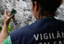 São Paulo tem mais de 58 mil casos de dengue desde o início do ano São Paulo tem mais de 58 mil casos de dengue desde o início do ano
