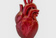 A cada 72 segundos, uma pessoa morre por doença cardiovascular no país A cada 72 segundos, uma pessoa morre por doença cardiovascular no país