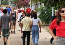 Com alta da violência política no Brasil, mulheres são maiores vítimas Com alta da violência política no Brasil, mulheres são maiores vítimas