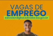 Simm oferece 513 vagas de emprego em Salvador nesta terça-feira (20), com 300 para telemarketing – Secretaria de Comunicação Simm oferece 513 vagas de emprego em Salvador nesta terça-feira (20), com 300 para telemarketing – Secretaria de Comunicação